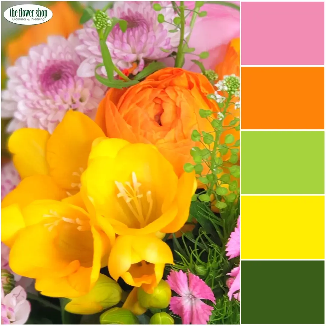 Elisabet's Recommendation - The Alice - Image 3