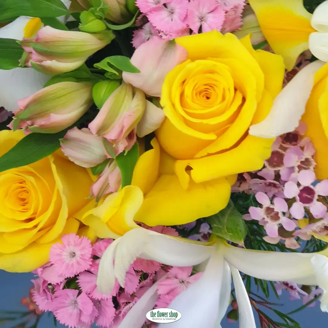 Elisabet's Recommendation - The Rosel