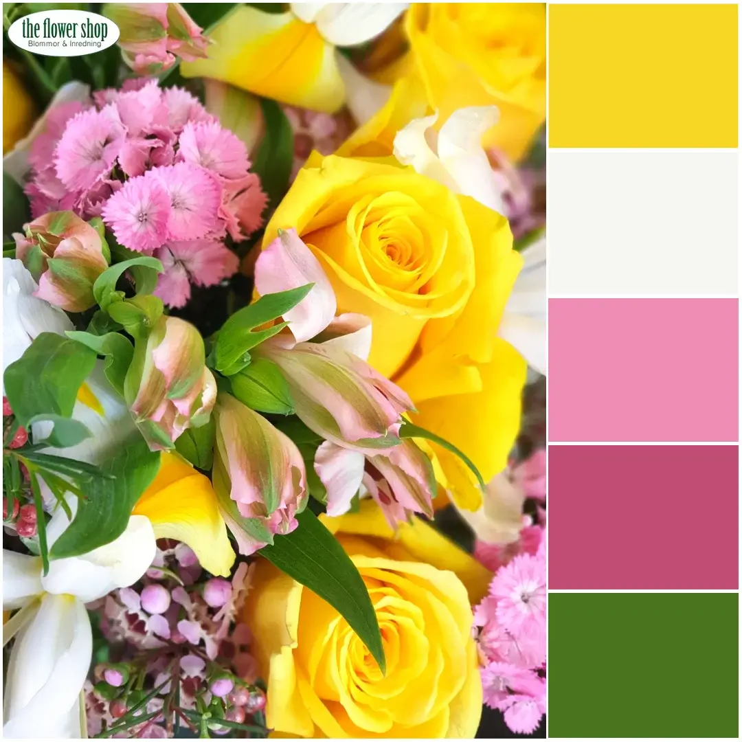 Elisabet's Recommendation - The Rosel - Image 2