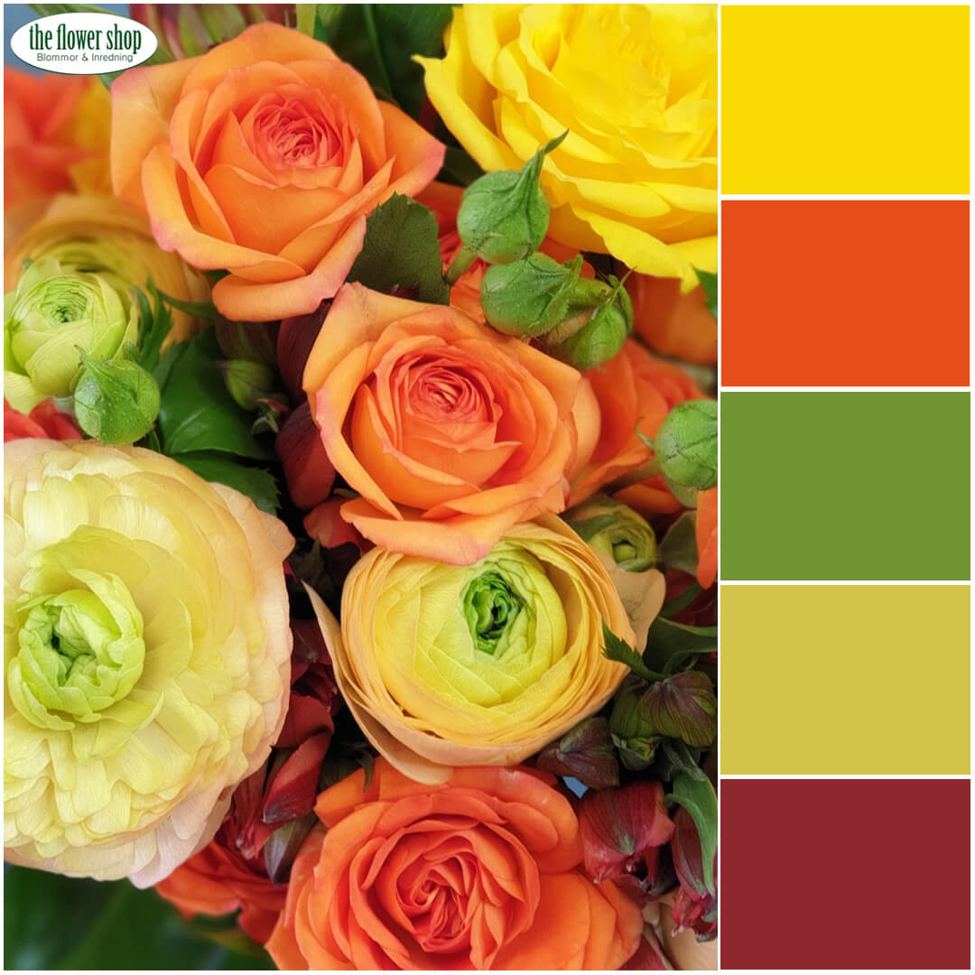 Elisabet's Recommendation - The Cecilia - Image 4